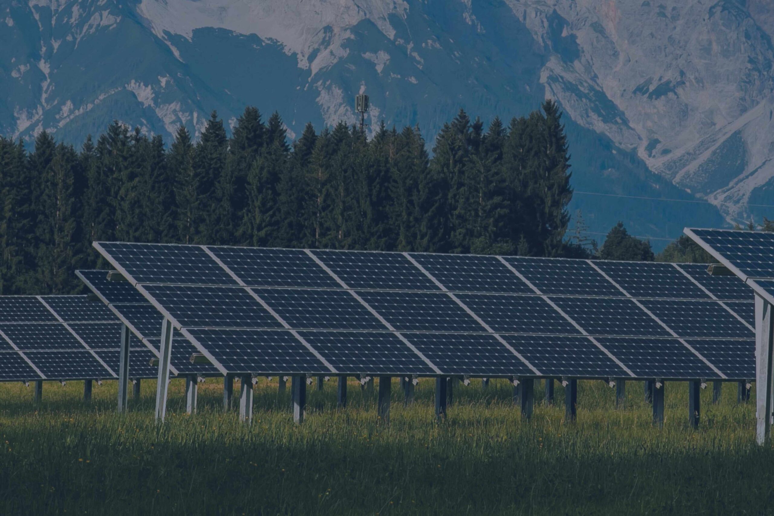 Ampia vista di un impianto fotovoltaico a terra sul cui sfondo è presente una catena montuosa e una foresta di pini.
