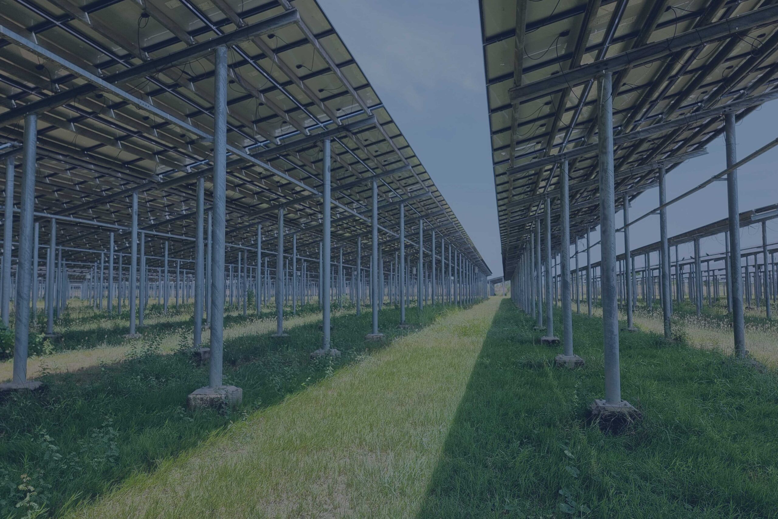 Serie di stringhe di un impianto fotovoltaico installato a terra in un campo privo di coltivazioni e inutilizzato.