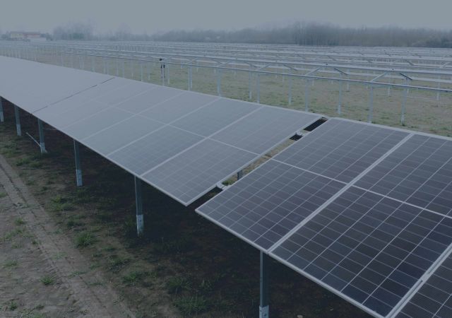 Vista laterale di un impianto fotovoltaico di un'attivit&agrave; agricola sotto al quale &egrave; presente una coltivazione.