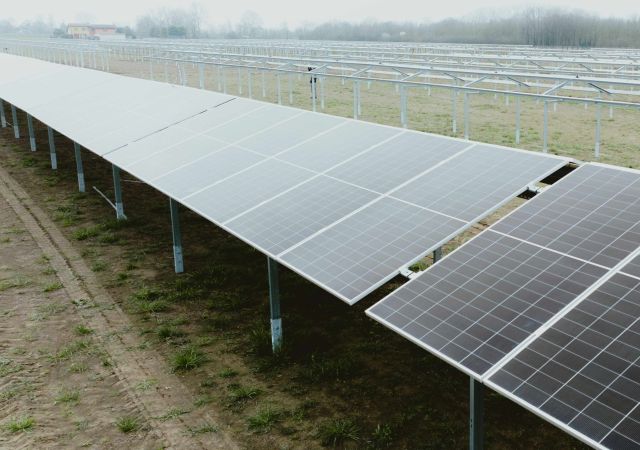 Vista laterale di un impianto fotovoltaico di un'attività agricola sotto al quale è presente una coltivazione.